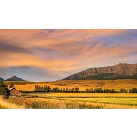 Expansive Field Wallpaper Wall Mural