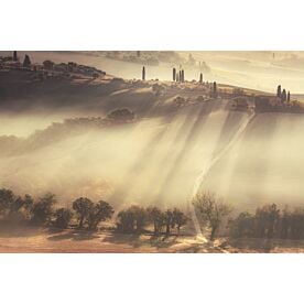 Sun Splashed Hills Wallpaper Wall Mural