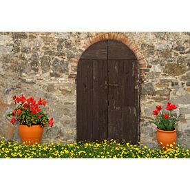 Rustic Door – Schwartz Wallpaper Wall Mural