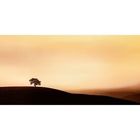 Lone Tree on a Hillside Wallpaper Wall Mural