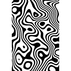 Haase Black White Liquid Line III Wallpaper Wall Mural