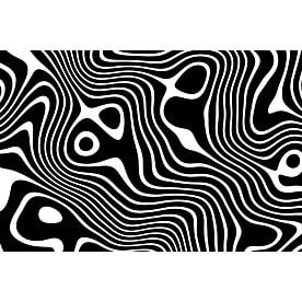 Haase Black White Liquid Line IV Wallpaper Wall Mural