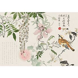 Haase Wisteria Chinoiserie Wallpaper Wall Mural