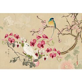 Haase Chinoiserie With Birds C Wallpaper Wall Mural