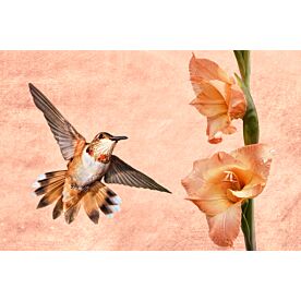 Hummingbird Attraction Wallpaper Wall Mural