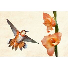 Hummingbird Attraction II Wallpaper Wall Mural