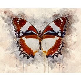 Butterfly Flying Through Color Wallpaper Wall Mural