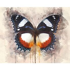 Butterfly Artful Nature Wallpaper Wall Mural