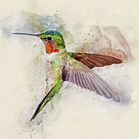 Hummingbird Curious Wallpaper Wall Mural