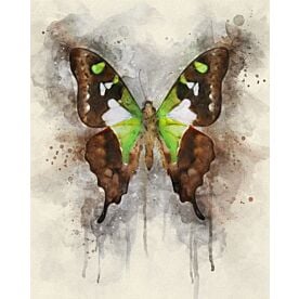 Butterfly Natural Abstraction Wallpaper Wall Mural