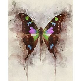 Butterfly Colors Of Nature Wallpaper Wall Mural