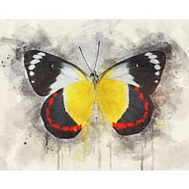 Butterfly Playful Adornment Wallpaper Wall Mural