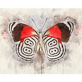 Butterfly Graphic Flight Wallpaper Wall Mural