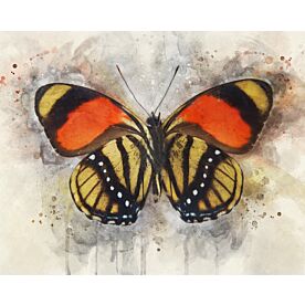 Butterfly Striped Wonder Wallpaper Wall Mural