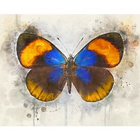 Butterfly Simplicity Wallpaper Wall Mural