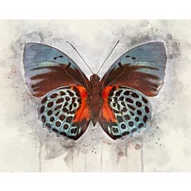 Butterfly Iridescent Wings Wallpaper Wall Mural