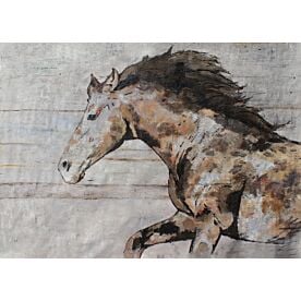 Wild Horse Running 10