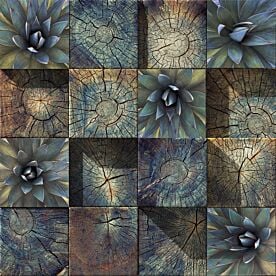 Wood Block Succulent 6 Wallpaper Wall Mural