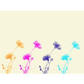 Colorful Flowers 10-20 Wallpaper Wall Mural