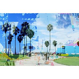 One Summer Day at Venice Beach 2