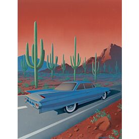 Saguaro National Park by R Courtney Wallpaper Wall Mural