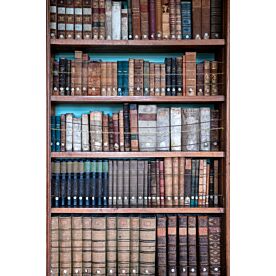 Library Shelf with Old Books Wallpaper Wall Mural