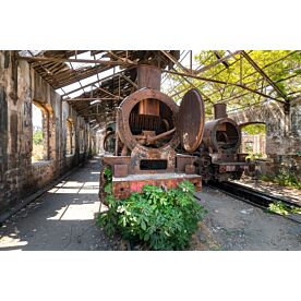 Abandoned Train Wallpaper Wall Mural