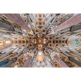 La Sagrada Familia Ceiling