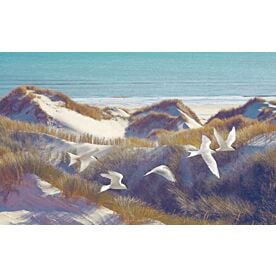 Terns Sandy Fliers Wallpaper Wall Mural