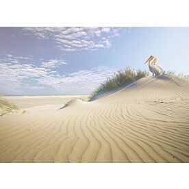 Sandy Contemplations Wallpaper Wall Mural