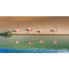 Plumage Parade Wallpaper Wall Mural