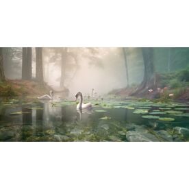 Misty Pondering Wallpaper Wall Mural