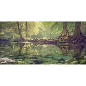 Quiet Reflections Wallpaper Wall Mural