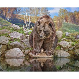 Bodacious Bear Three Wallpaper Wall Mural