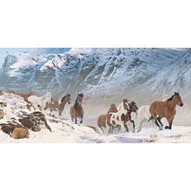 Ridge Runners Horses Wallpaper Wall Mural