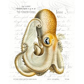 Octopus One Wallpaper Wall Mural