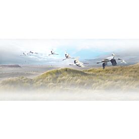 Coastal Soaring Seagulls Wallpaper Wall Mural