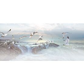 Coastal Living Seagulls Wallpaper Wall Mural