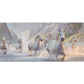 Spirited Splashers Horses Wallpaper Wall Mural