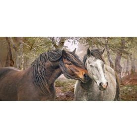 Forest Fraternisers Horses Wallpaper Wall Mural