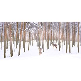 Wintry Partners Deer Wallpaper Wall Mural