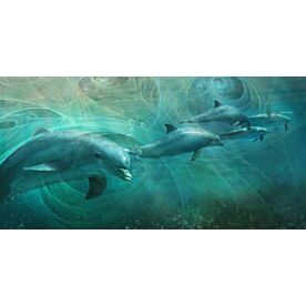 Dolphin Drifters Wallpaper Wall Mural