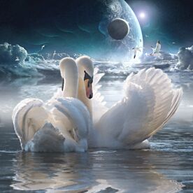 Celestial Swans Wallpaper Wall Mural