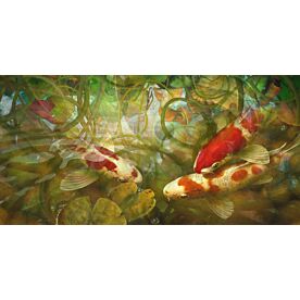 Celestial Fish Two Koi Wallpaper Wall Mural