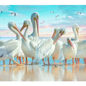 Coastal Pelicans Three Wallpaper Wall Mural