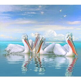 Coastal Pelicans Nine Wallpaper Wall Mural