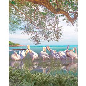 Coastal Pelicans Five Wallpaper Wall Mural