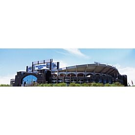 Charlotte Bank of America Stadium 7198 Wallpaper Wall Mural