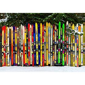 Canmore Snow Ski Fence 7628 Wallpaper Wall Mural