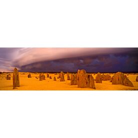 Pinacles Desert Australia 7688 Wallpaper Wall Mural